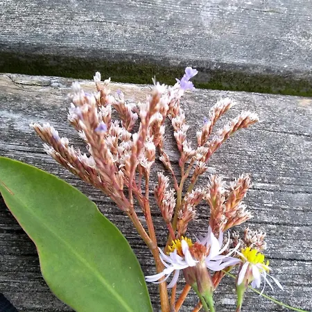 6 Person In Laeso-by Traum Laeso