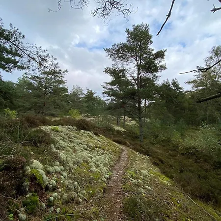 6 Person In Laeso-by Traum 펜션