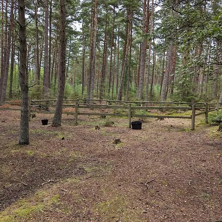 6 Person In Laeso-by Traum 펜션 *