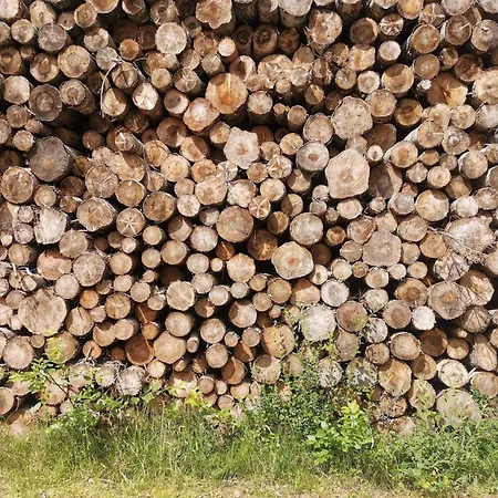 펜션 6 Person In Laeso-by Traum *