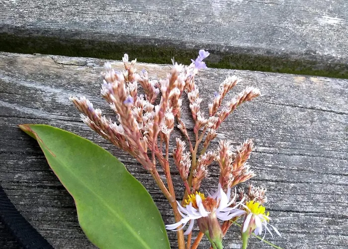 6 Person In Laeso-by Traum Laeso