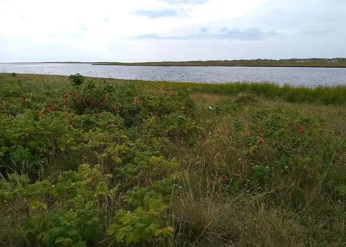 Prázdninový dům 6 Person In Laeso-by Traum *