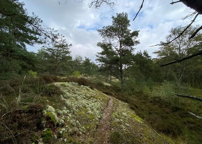 6 Person In Laeso-by Traum Prázdninový dům